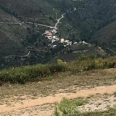 Дом отдыха Casa Da Carvalha - Adela