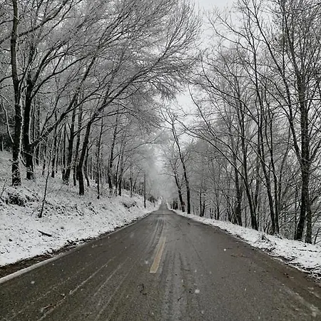 Casa Da Carvalha - Adela Feriehus Acor (Gois)
