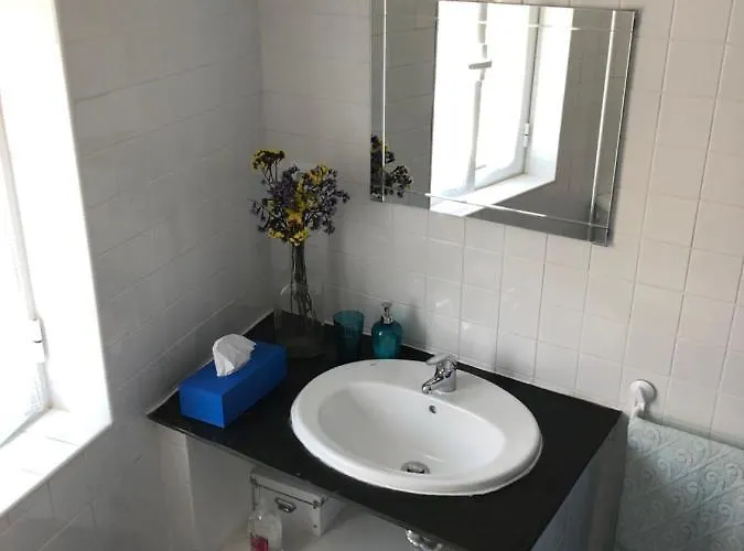 Casa Da Carvalha - Adela 別荘 *