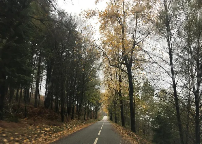 Casa Da Carvalha - Adela 別荘