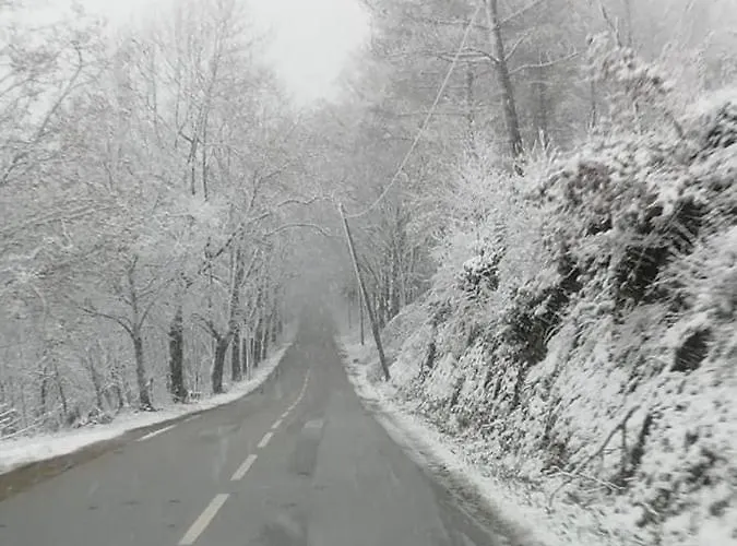 Casa Da Carvalha - Adela