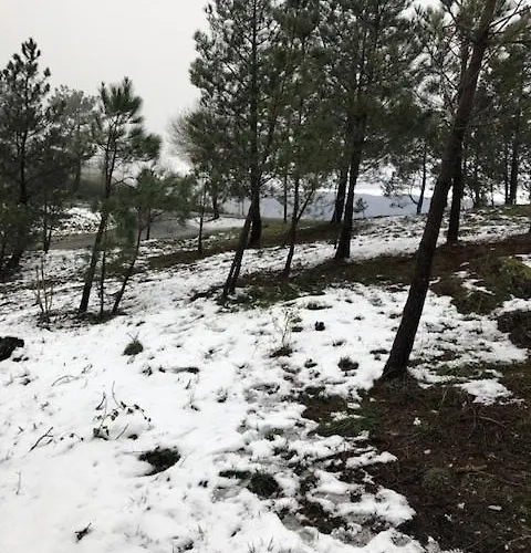 Casa vacanze Casa Da Carvalha - ádela