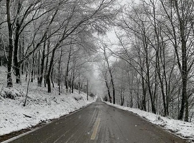 Casa Da Carvalha - ádela Casa vacanze Acor (Gois)