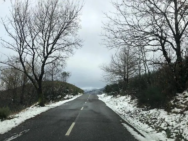 Casa Da Carvalha - Adela 別荘